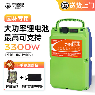 21V锂电池背负式割草机专用大功率充电式角磨机电锯电锤配件大全