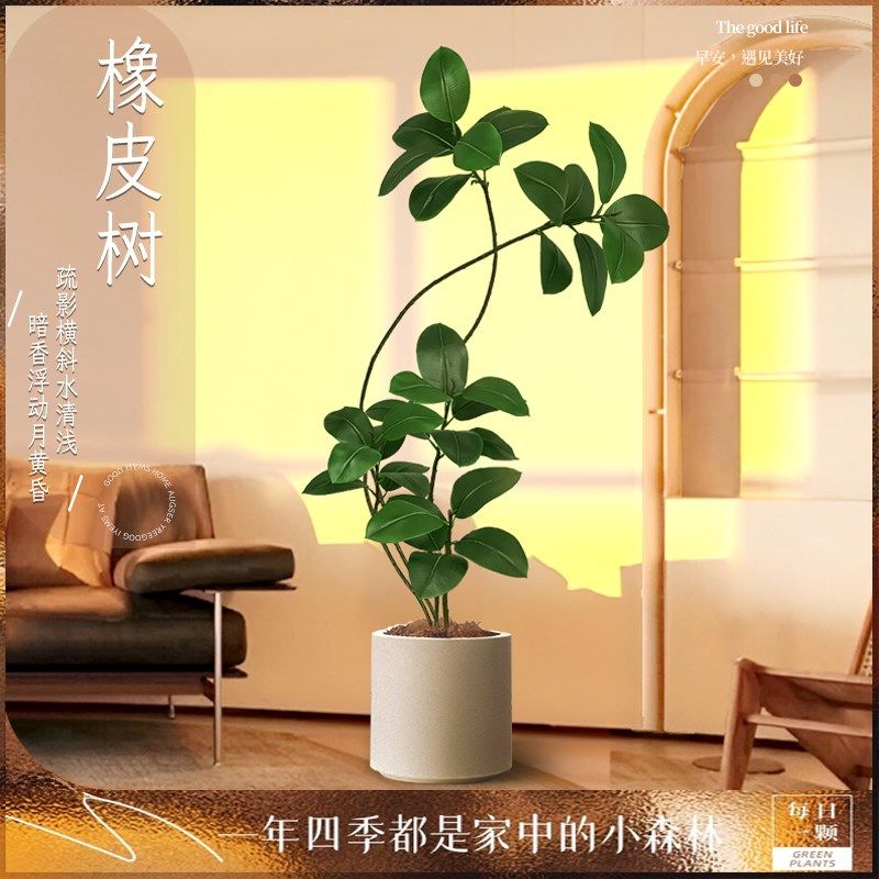 大型客厅落地摆件室内沙发电视柜旁边假植物黑金刚橡皮树仿真绿植