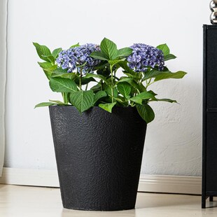 高深圆筒水泥花盆镁泥圆锥大号落地绿植水磨石仿花岗岩客厅