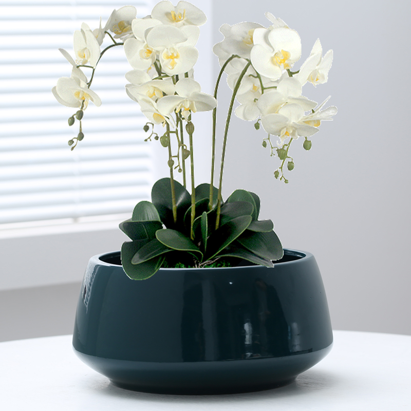 网红蝴蝶兰专用花盆高档陶瓷盆景花盆大口径组盆轻奢X兰花花盆套