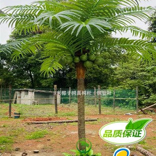 仿真椰子树假椰树室外大型玻璃纤维椰树H室内人造树装饰造景假棕