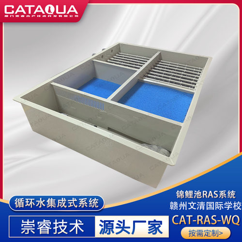 赣州文清国际学校锦鲤池改造一体式集成水处理系统循环水设备