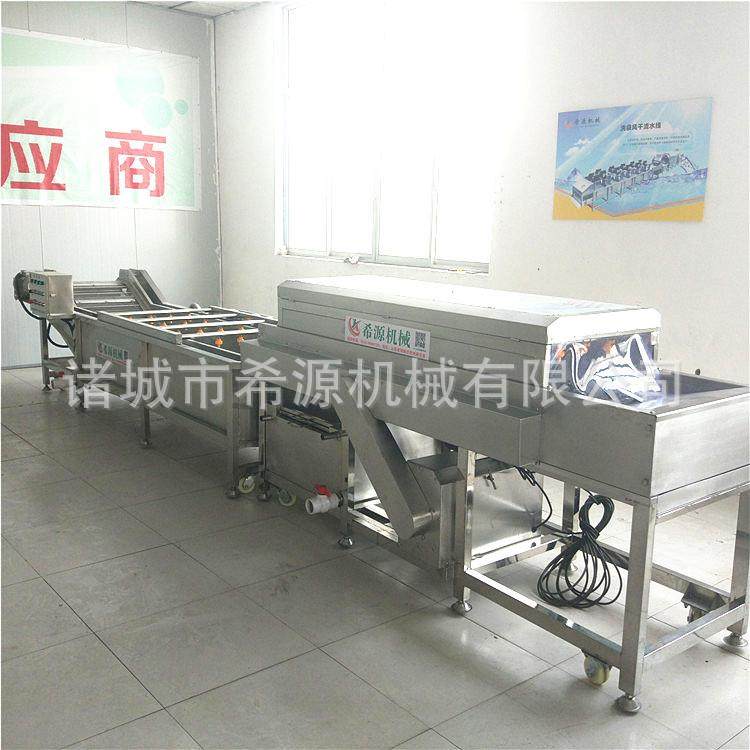 全自动橙子清洗机 维果橙子专用清洗设备 气泡清洗机厂家