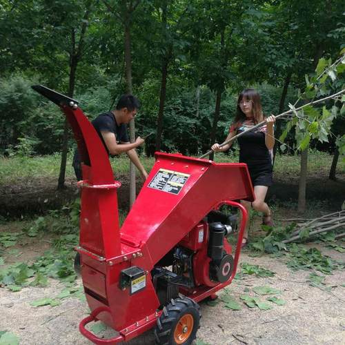 树枝粉碎机柴油汽油果园干湿碎枝机 汽油苗圃碎木机家用削片机