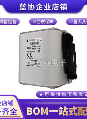 巴斯曼原装现货熔断器170M6596 170M6597 170M6598 170M6599