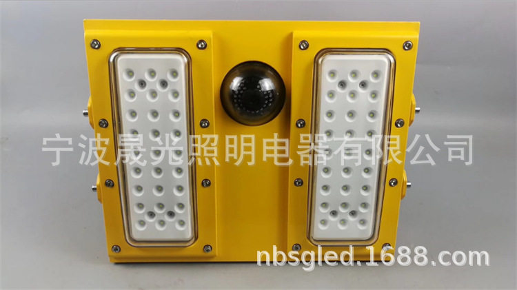 SG-BFC8118LED防爆摄像灯油站灯100W海洋王同款防爆泛光灯图片