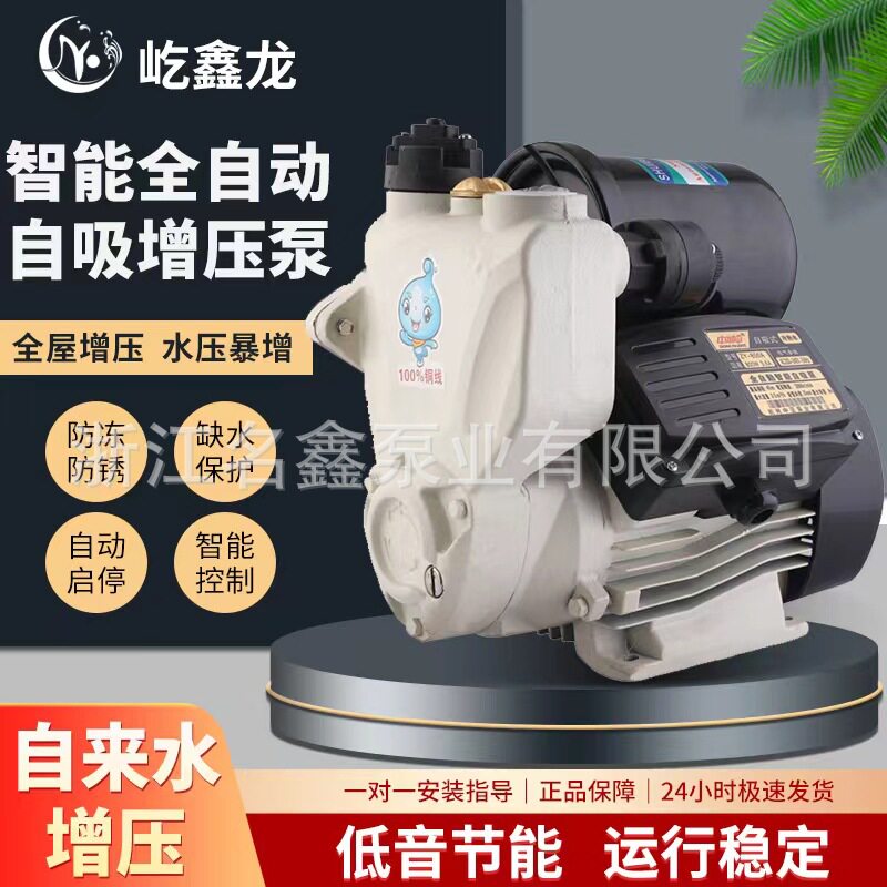 全自动冷热水220v增压自吸水泵自来水管道泵潜水泵大流量抽水泵