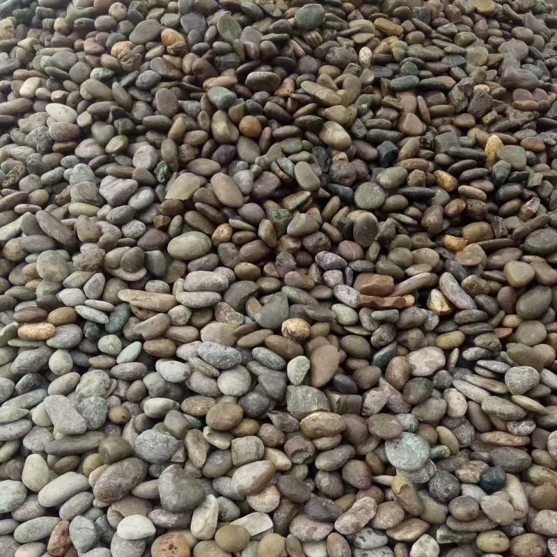 现货鹅卵石河卵石园林铺路造景