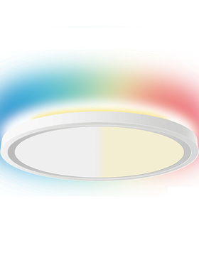 12寸主灯2700K-6500K背景灯RGB超薄智能黑色/白色平板灯北美120V