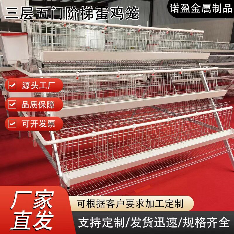 三层四层阶梯式蛋鸡笼A型鸡笼配件蛋鸡养殖笼 阶梯式蛋鸡笼子全套