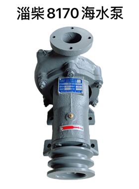 淄柴Z8170海水泵 淄博专用离心式海水泵 代码115 淄博8170海水泵