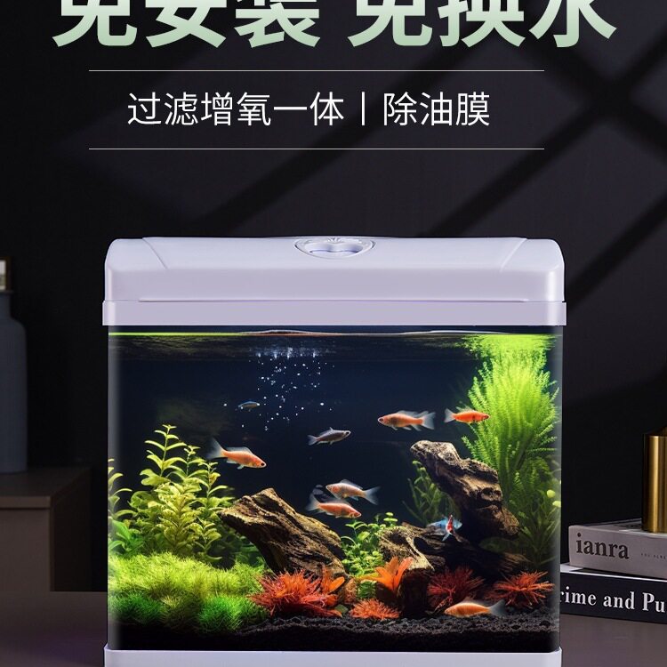 2025新款免换水鱼缸过滤制氧一体机玻璃缸小型桌面客厅生态水族箱
