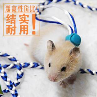 Hams Bird Pet Adjustable Soft 新品 Parrot Leash Harness Mouse