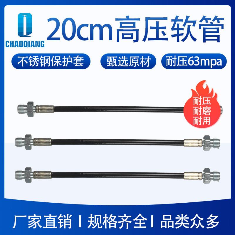 适配厂家直销 20CM高压软管63mpa 30mpa高压打气筒充气泵出气连接