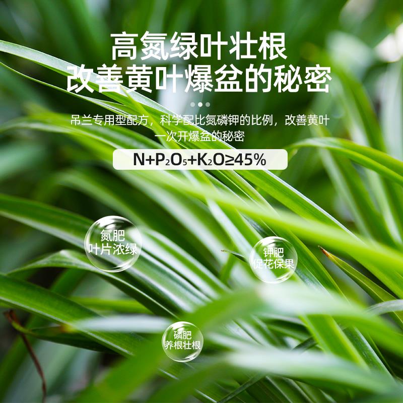 适用吊兰专用颗粒缓释肥家用养花肥料植物通用花肥金边吊兰盆栽专
