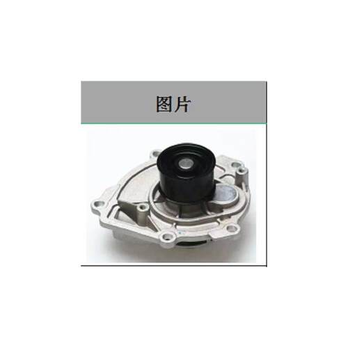 适配汽车发动机水泵适用雪佛兰科兰多Canyon Express Savana 1264