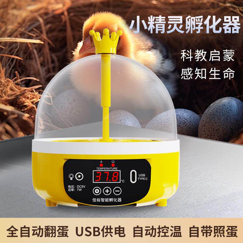 孵蛋器小鸡养殖设备孵化器小型家用儿童孵化机迷你全自动孵蛋器