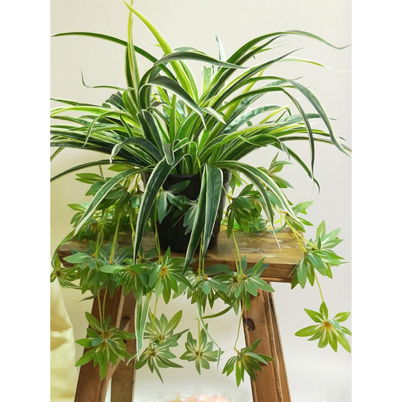 新疆包邮仿真绿植盆栽绿萝吊兰塑料假花盆景阳台客厅摆放装饰落地