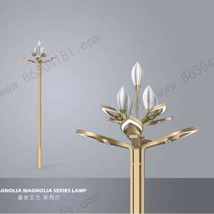 盛世玉兰太阳能路灯户外公园广场灯市电路灯新农村高杆灯厂家