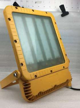 LED防爆投光灯RLEEXL5330-XL120A4 RLEEXL5330-XL200A1 120W 200W