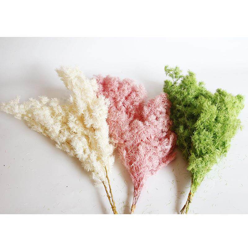 永生花蓬莱松染色真花仿真蓬莱松DIY材料包家居装饰工厂