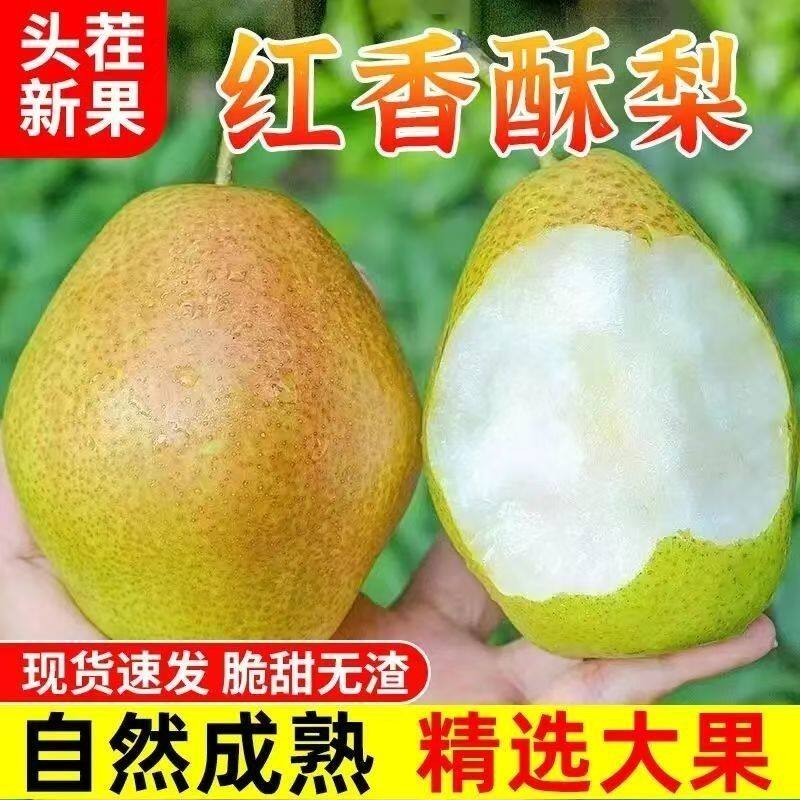 【超甜批发】红香酥梨子新鲜水果当季现摘现发香梨薄皮青皮批发