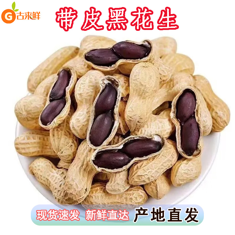 现货黑花生黑花生2025新货晒干黑花生种带壳黑皮花生米整箱包邮