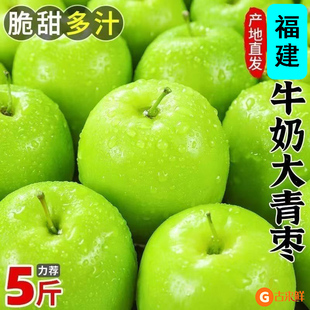 牛奶大青枣新鲜枣子贵妃冬枣时令水果应当季整箱奶油苹果脆枣整箱
