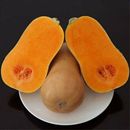 新鲜奶油南瓜 小南瓜老南瓜农家自种宝宝辅食新鲜时令蔬菜 包邮