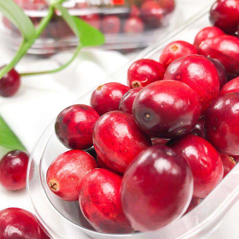 新鲜蔓越莓鲜果当季水果礼品新鲜曼越树莓高端佳品小红莓,水产肉类/新鲜蔬果/熟食,其它,淘宝优惠券,粉丝福利购,淘宝优惠卷