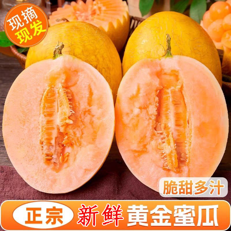 正宗黄金蜜瓜甜瓜金冠香瓜新鲜水果孕妇应当季黄皮哈密瓜整箱包邮,水产肉类/新鲜蔬果/熟食,哈密瓜,淘宝优惠券,粉丝福利购,淘宝优惠卷