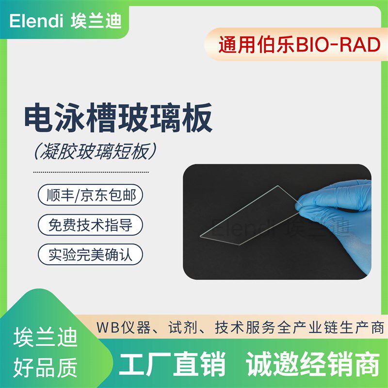 速发er Blot玻璃短板WB电泳厚玻璃板长板通用伯乐-Rad电泳槽