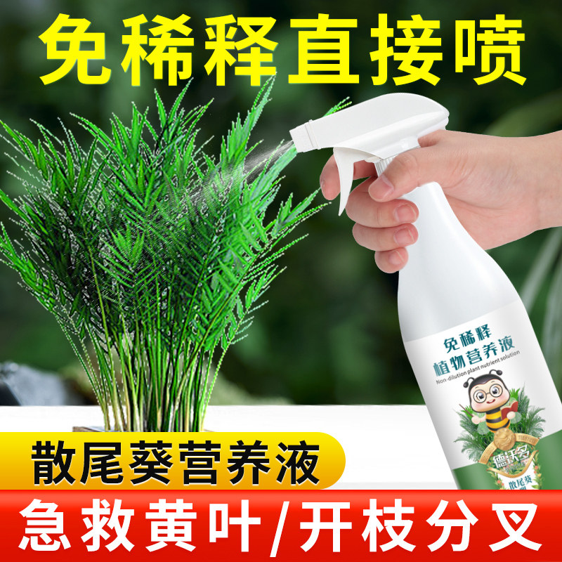 速发免稀释散尾葵肥料专用肥营养液凤尾竹用内水培肥料通用盆栽家