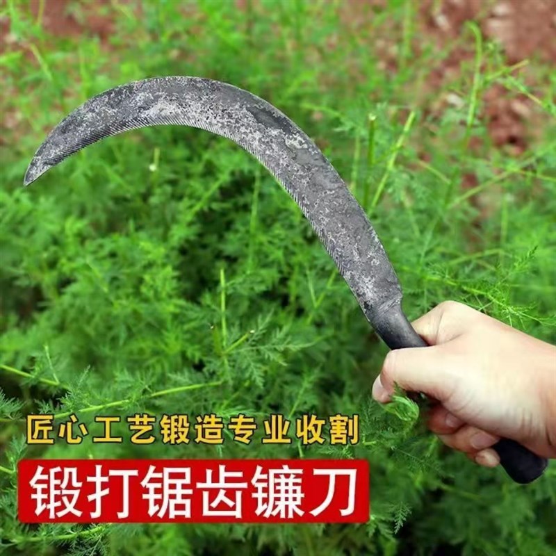 速发割除谷收镰不锈钢带齿镰割草刀农用稻草刀小锯割锄草刀禾刀齿