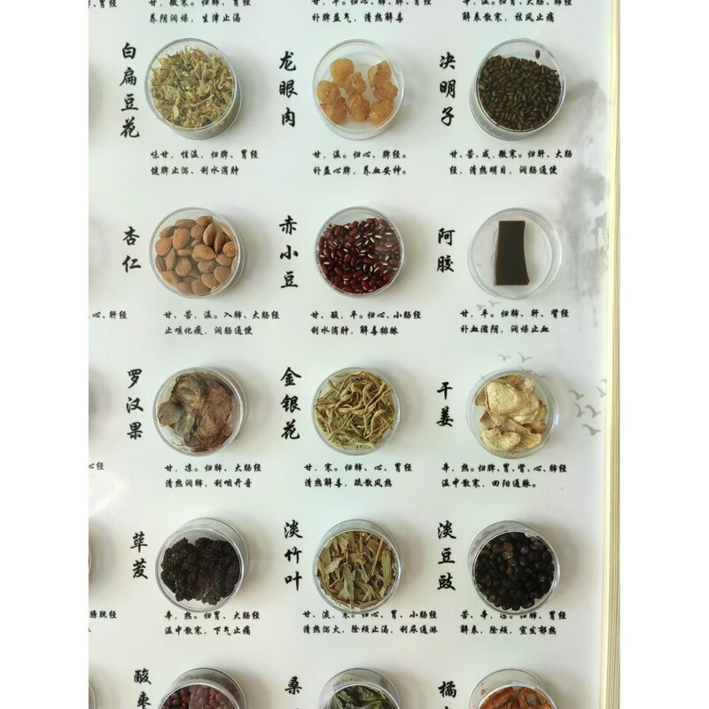 速发中式风格中草药标本展示摆件 幼儿园药膳氛围布置可指定尺寸