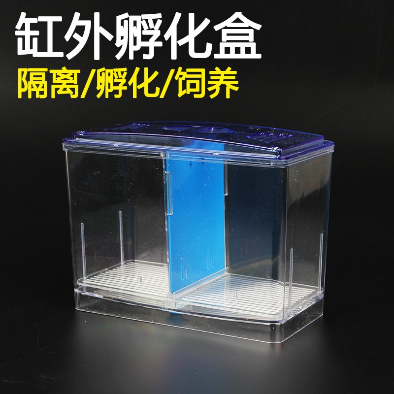 速发鱼缸孵化盒独立式隔离盒繁殖盒水族斗鱼盒亚克力隔离缸外多功