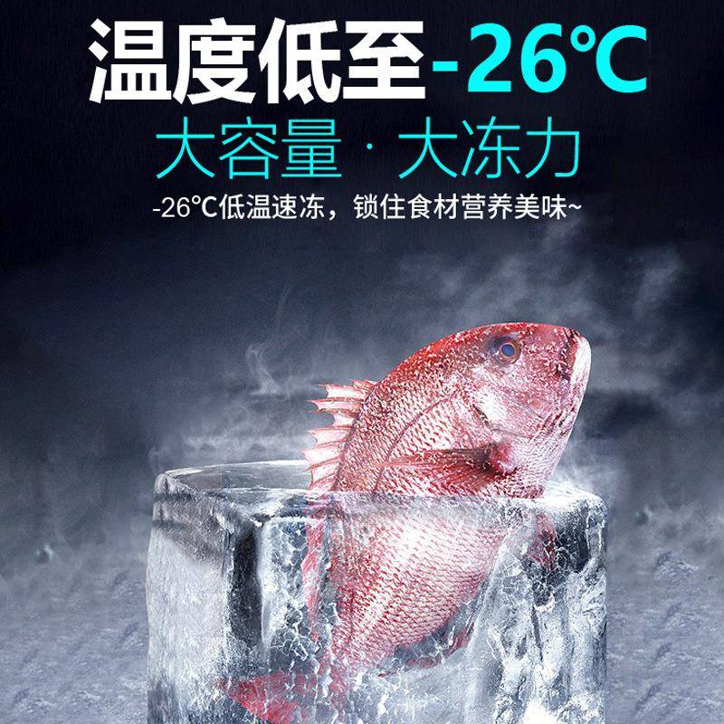 冰柜冷藏保鲜冷冻冰箱速冻雪糕冷饮海鲜柜卧式冷柜商用冰柜