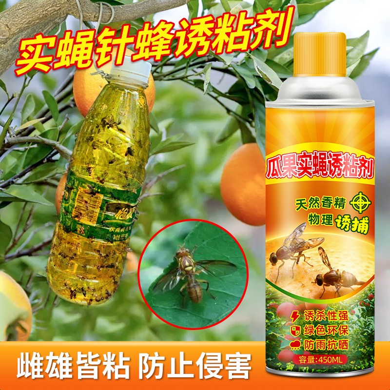 瓜果实蝇诱粘剂物理诱粘胶板果园菜地针蜂引诱剂性桔小果蝇诱捕器