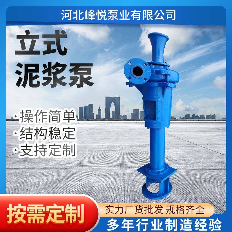 YZ立式泥浆泵100YZ120-16液下渣浆抽沙泵排污清淤杂质矿用泵