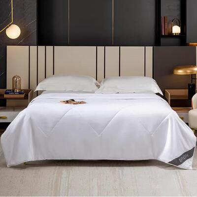 优享桑蚕丝被DRON-CS87-500