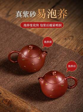 7YX宜兴茶壶紫砂壶纯手工泡茶壶茶具套装小容量孟臣壶朱泥西