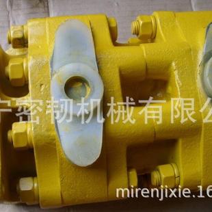 173 011 D85工作泵液压泵齿轮泵CBJ80E200 推土机全车配件SD22