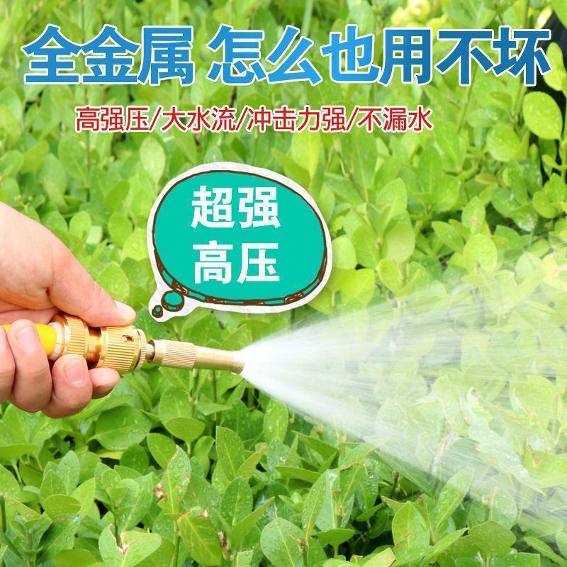 洗车水枪头喷头水管软管铜高压强力汽车喷枪家用工具洗车浇花神器