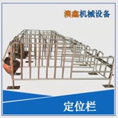 猪用定位栏限位栏猪场养猪带食槽养猪设备猪定位栏厂家批发