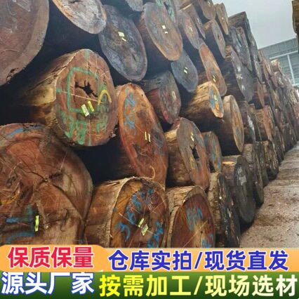 金丝柚原木 巴新金丝柚木材 金丝柚木家具工艺装饰 金丝柚干板材