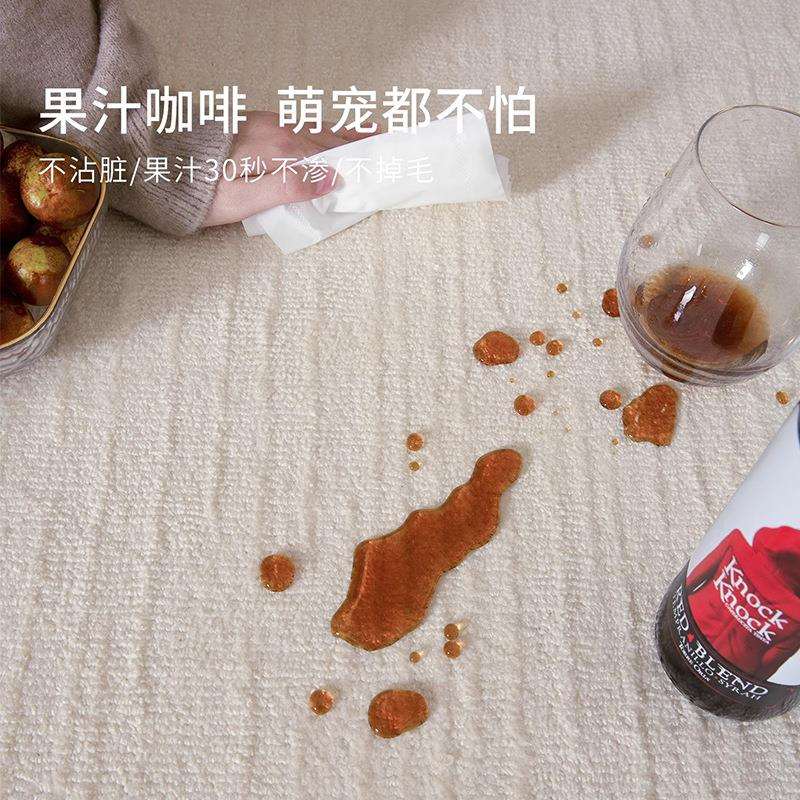 白月光防水抗污地毯客厅高级轻奢奶油风免打理沙发茶几卧室地垫子