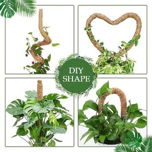 70cm Stk 现货2pcs Outdoor Creepers Idoor