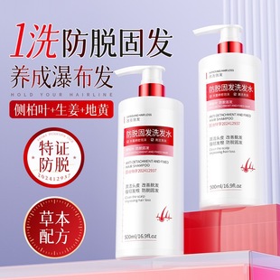 生姜防脱洗发水侧柏叶固发去屑控油蓬松洗发露男女正品 官方500g