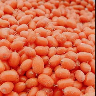 新疆兵团特产新鲜大果沙棘果