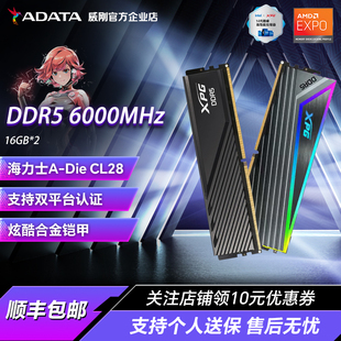 C28台式 6000 机电脑马甲内存条 ddr5内存条16Gx2 威刚威龙D300